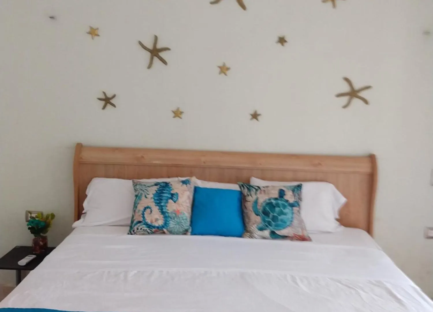 Casa Esencia Apartment Cozumel